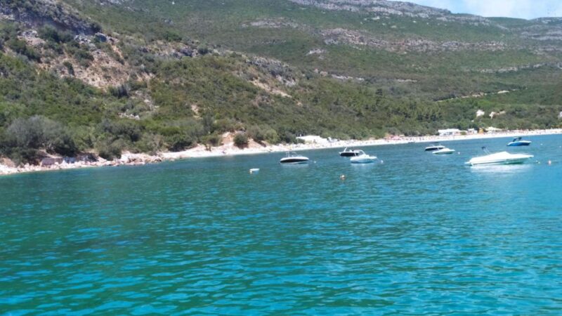 Portuguese Wine History & Amazing Landscape - Crossing the 25 de Abril Bridge and Returning to Lisbon