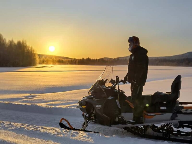 Posio, Lapland: Private snowmobile tour with a local French-speaking guide - Exploring Frozen Lakes and Snowy Forests in Eastern Lapland