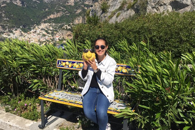 Positano Sorrento and Pompeii from Naples by Private Mercedes Van - Key Points