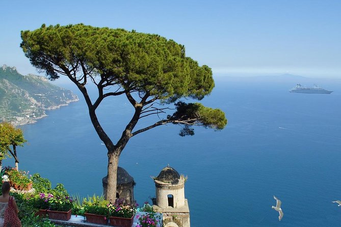 Positano, Sorrento & Pompeii One Day Trip from Naples with Driver - From Naples to the Amalfi Coast: The Scenic Journey