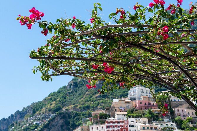 Positano Walking Tour with a Local Guide - Starting Point at Viale Pasitea, 325