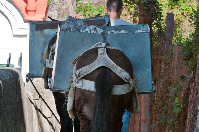 Positano Walking Tour with a Local Guide - Feeling the Atmosphere at Spiaggia di Positano Marina Grande