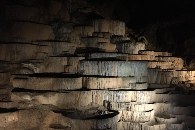 Postojna Cave Day Trip From Ljubljana - Key Points