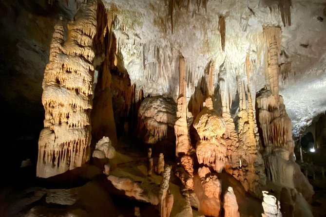 Postojna Cave Day Trip From Ljubljana - Who Will Enjoy This Tour the Most