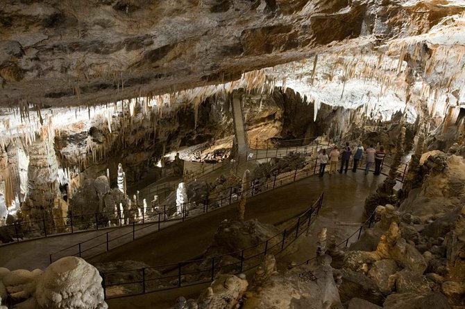 Postojna Cave with Train Ride and Predjama Castle Half Day Trip from Ljubljana - Key Points