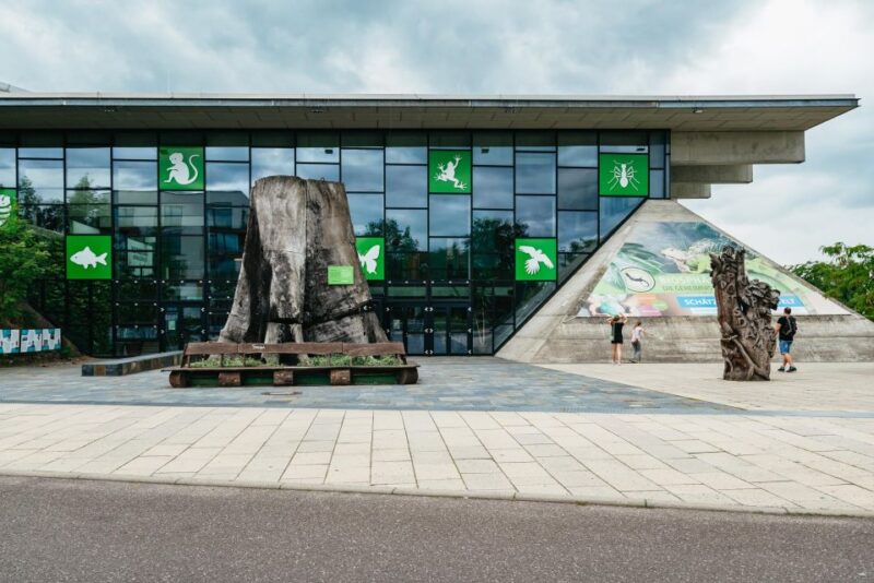 Potsdam: Biosphäre Potsdam Entry Ticket - Discover the Tropical World of Potsdam’s Biosphäre