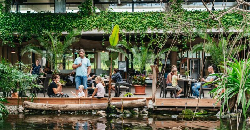Potsdam: Biosphäre Potsdam Entry Ticket - Butterfly House: A Flight of Color and Movement