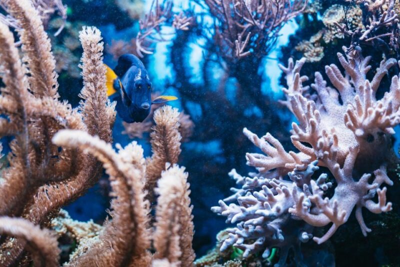 Potsdam: Biosphäre Potsdam Entry Ticket - Walking Through the Tropical Jungle