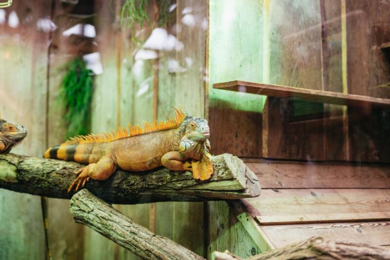 Potsdam: Biosphäre Potsdam Entry Ticket - Practical Tips for Visiting the Biosphäre