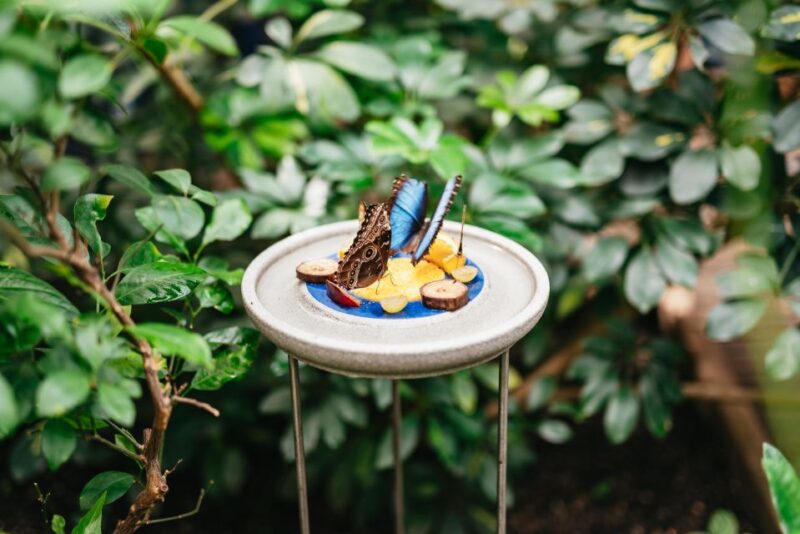 Potsdam: Biosphäre Potsdam Entry Ticket - Comparing the Biosphäre to Other Attractions in Potsdam