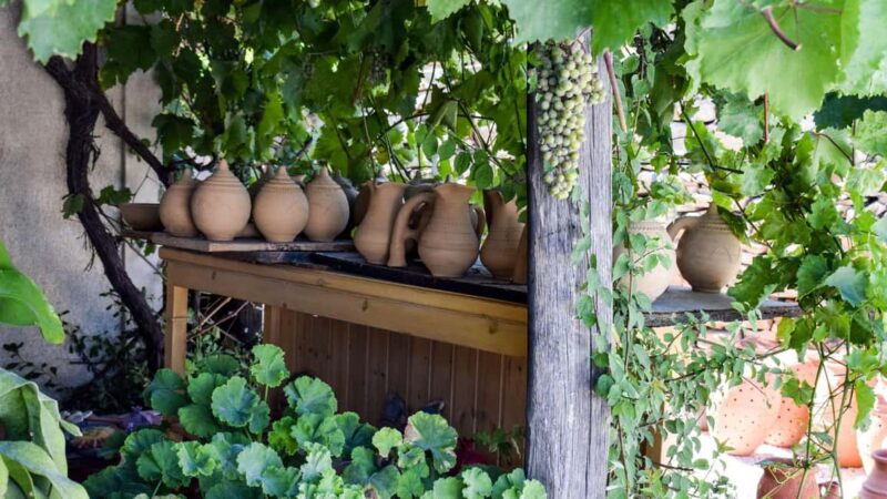 POTTERY & OLIVE OIL TASTING EXPERIENCE (3.5 Hours) - Olive Oil Tasting at Ergostasio in Kaloxilos Village
