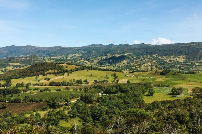 POTTERY PAINTING & WINE TASTING Tour from Kusadasi Port - Practical Details and Included Features