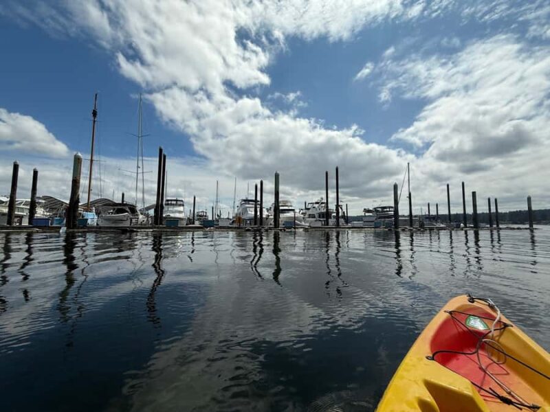 Poulsbo: Liberty Bay Guided Kayak Tour with Wildlife - The Experienced Guide and Private Group Experience