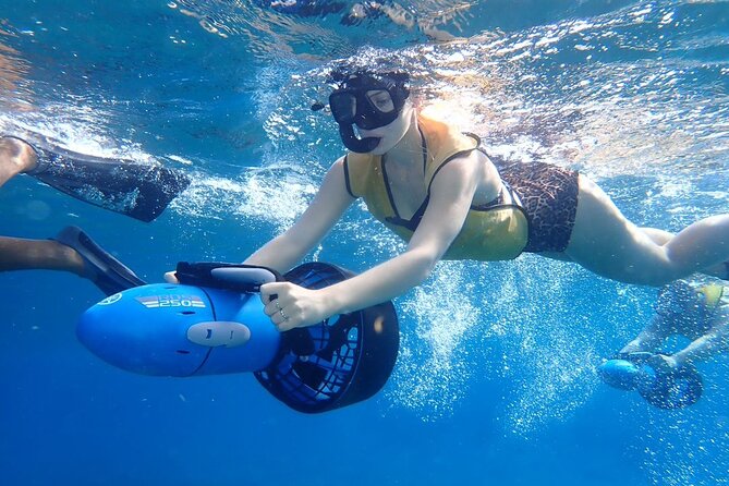 Power Snorkel By Sea Scooters & Tequila Tasting - The Marine Wildlife Encounters in Cozumel’s Waters