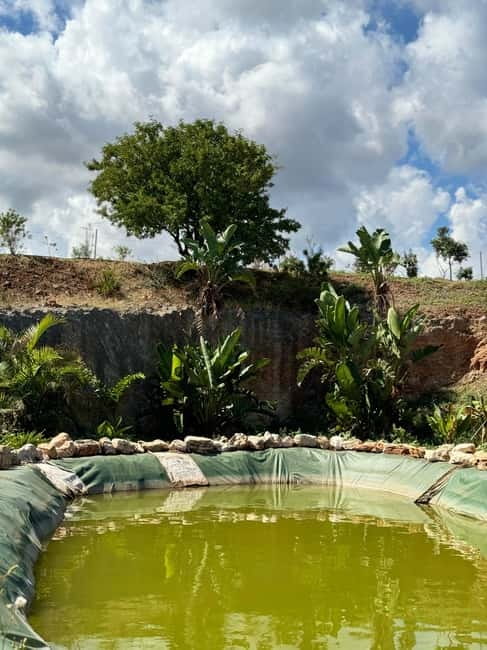 Pozzo Faceto: botanical garden - The Fruit Grove: Senses in Full Bloom