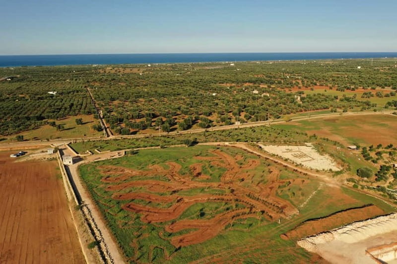 Pozzo Faceto: botanical garden - When to Visit and How to Plan Your Day