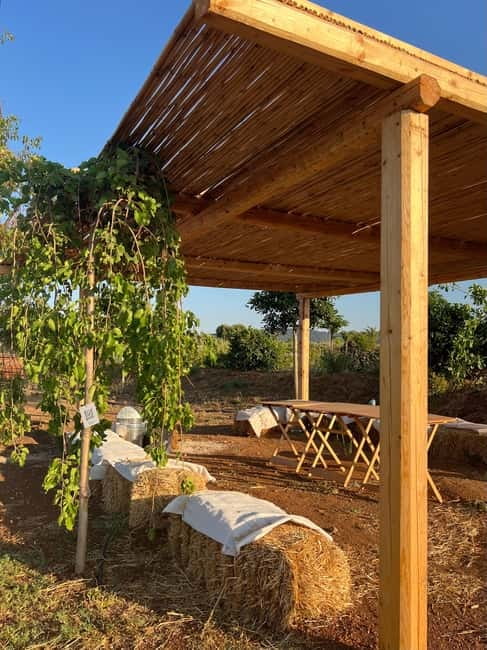 Pozzo Faceto: botanical garden - Why Choose the Pozzo Faceto Botanical Garden?