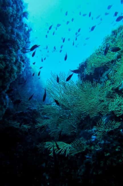 Pozzuoli: Scuba Diving Tour in the Roman Sunken City of Baia - Convenient Meeting Point Near Lucrino Train Station