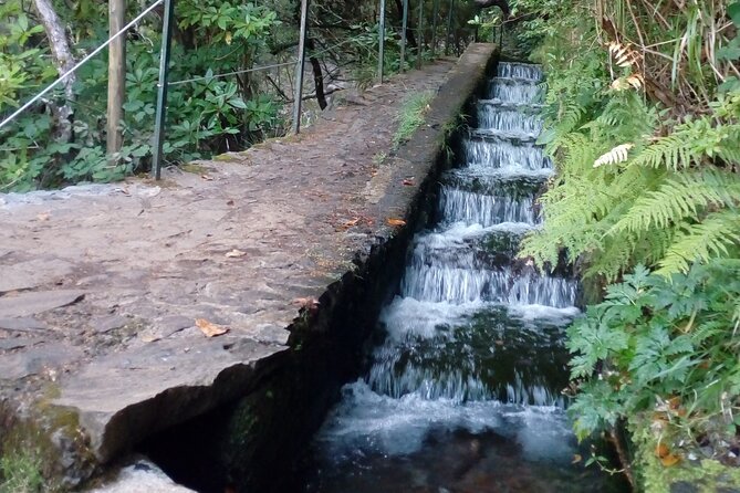 PR6 25 Fountains/Risco Levada Walk - Exploring the Levada das 25 Fontes and Levada do Risco
