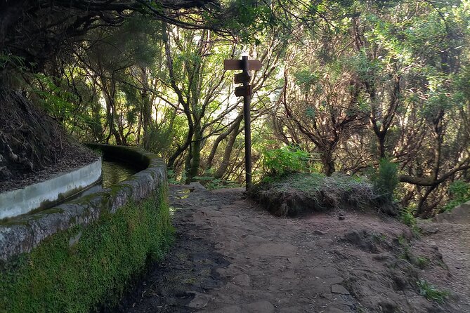 PR6 25 Fountains/Risco Levada Walk - How this Tour Stands Out Among Madeira’s Outdoor Options