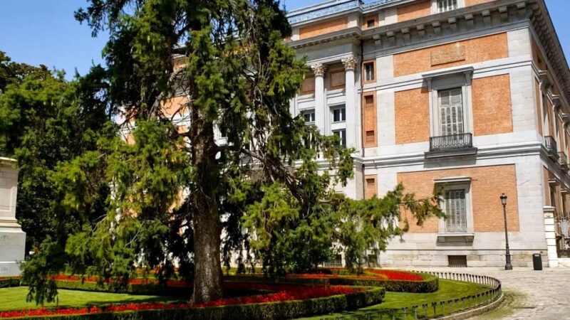 PRADO MUSEUM HIGHLIGHTS PRIVATE TOUR - Why This Private Prado Tour Is a Strong Choice