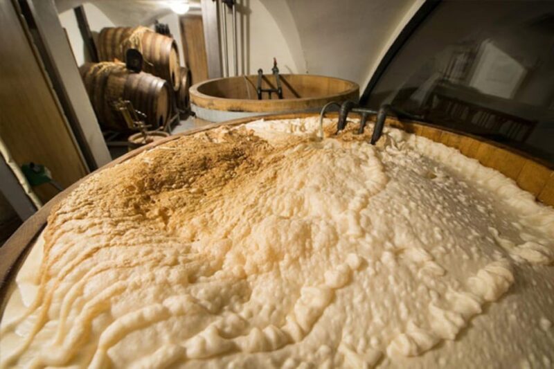 Prague: Beer Tasting and Brewery Tour - Sampling 8 Unique Beers at the First Stop