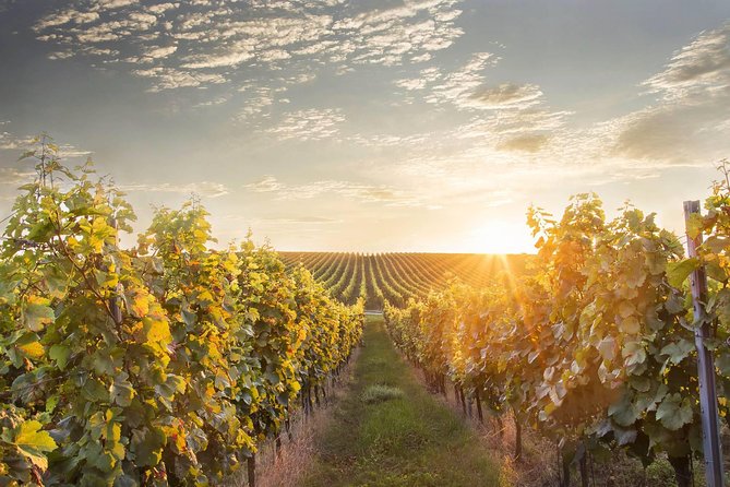 Prague-Bratislava One-Way Sightseeing Day Tour - Comparing This Tour to Other Prague and Bratislava Options