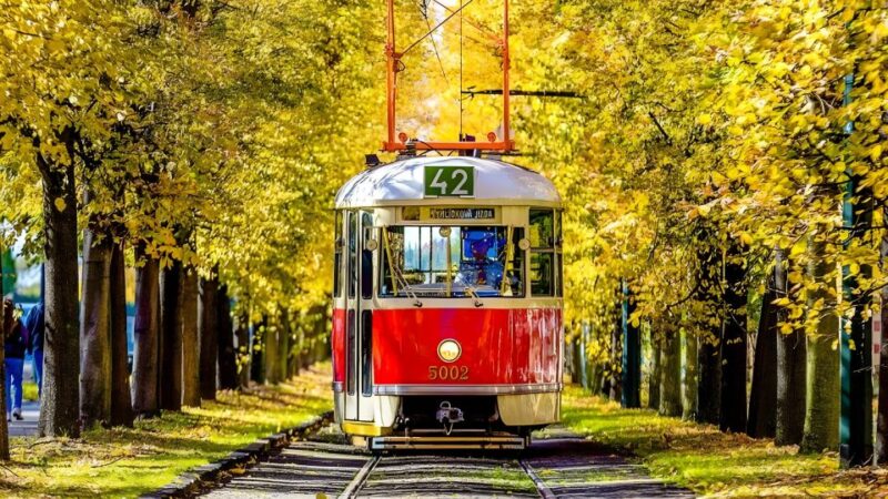 Prague Castle: Private Tour. - Scenic Views and Cultural Insights During the Tour