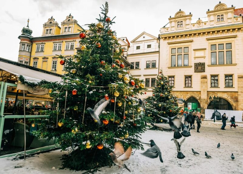 Prague: Christmas Markets Tour with Local Guide - Key Points