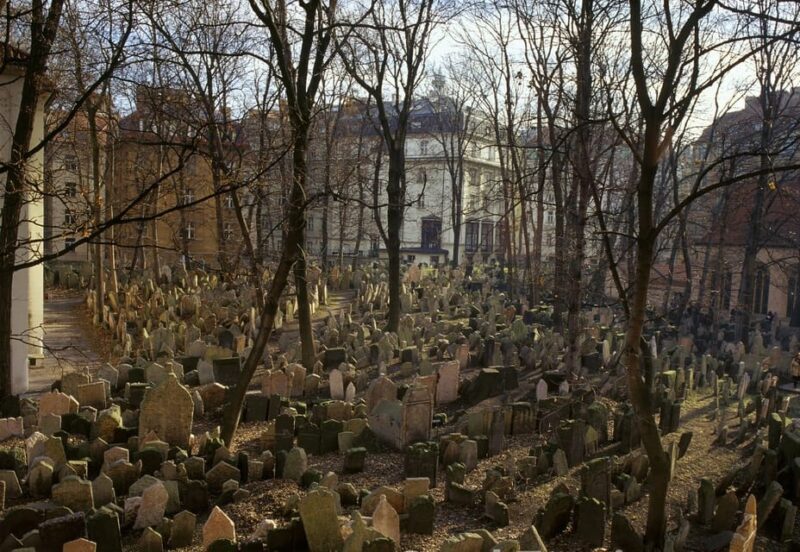 Prague City Pass 30-Day Ticket - The Guided Bus Tour and Water Cruise Experience