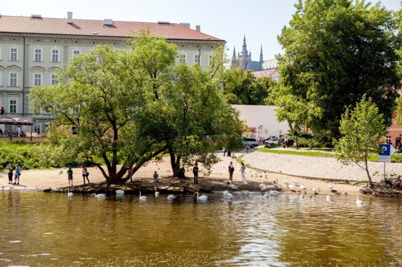 Prague Cruise: 1-Hour on the River Vltava - Drinks and Refreshments: Onboard Enjoyment