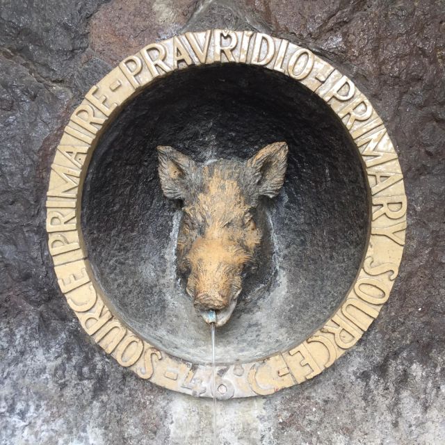 Prague: Day Trip to Teplice, the Royal Spa City - Who Will Appreciate This Teplice Day Trip?