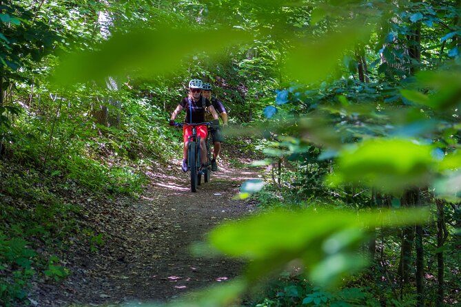 Prague E-Mountain Biking Adventure In The Bohemian Paradise - Why This Tour Stands Out