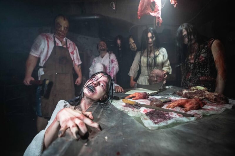 Prague Fear House: Best Haunting Experience in Prague - How the Tour Unfolds in the Underground Cellars