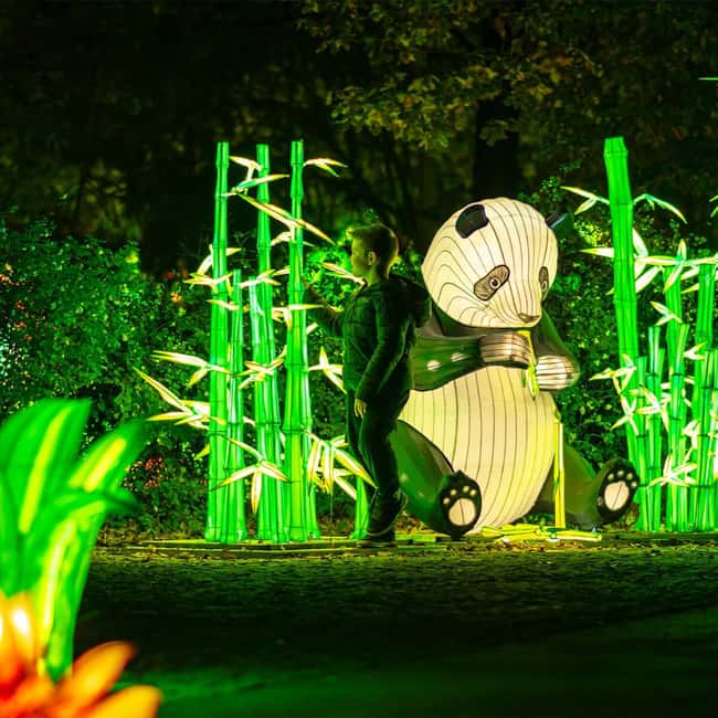 Prague: Garden of Lights Entry Ticket - Exploring Wild Asia Amid Light Art Installations