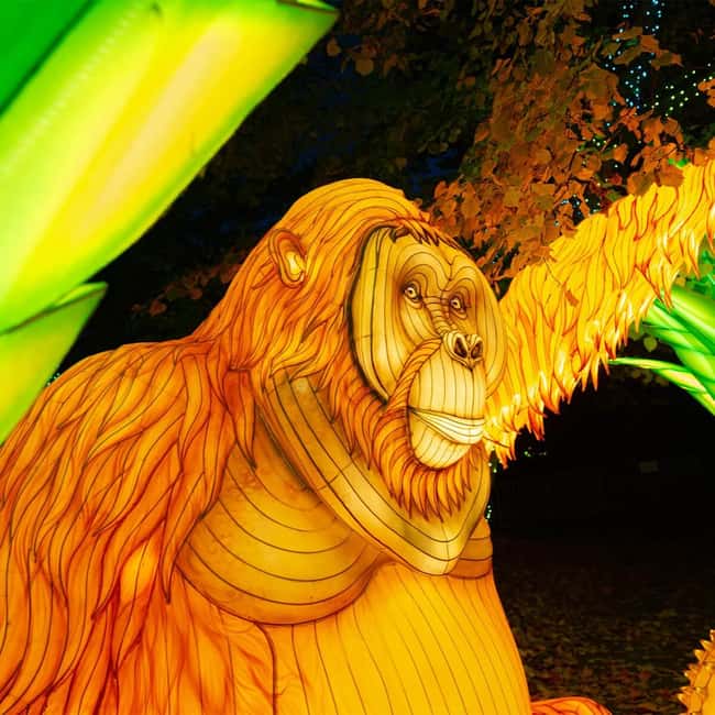 Prague: Garden of Lights Entry Ticket - Meeting Point and Accessibility at Prague ZOO Entrance