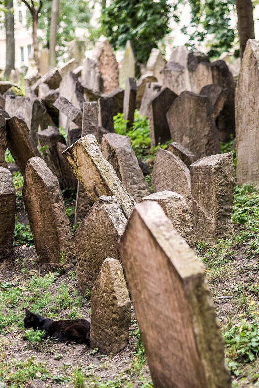 Prague: Jewish Quarter Walking Tour with Admission Tickets - Meeting Location at Maiselova 5