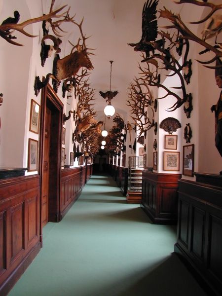 Prague: Karltejn Castle Guided Tour with Entry Ticket - Who Will Appreciate This Tour Most