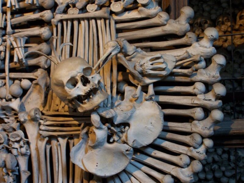 Prague: Kutná Hora, St Barbara's Cathedral and Bone Church - Value and Overall Experience