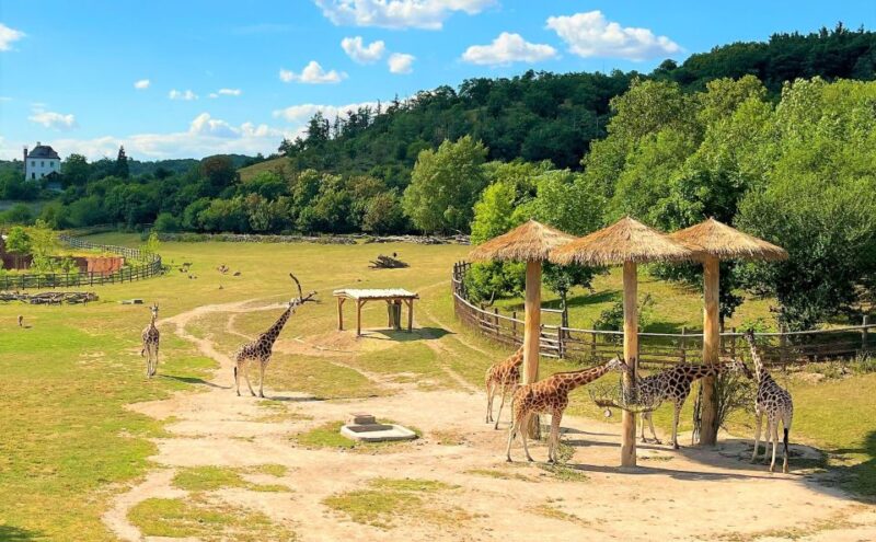 Prague: Prague Zoo Audio Guide with E-Ticket - Flexibility and Cancellation Policies