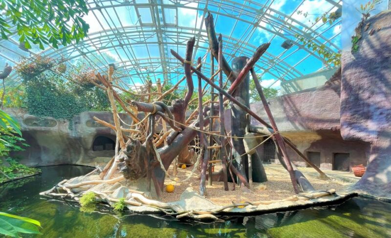 Prague: Prague Zoo Audio Guide with E-Ticket - What to Bring and Keep in Mind