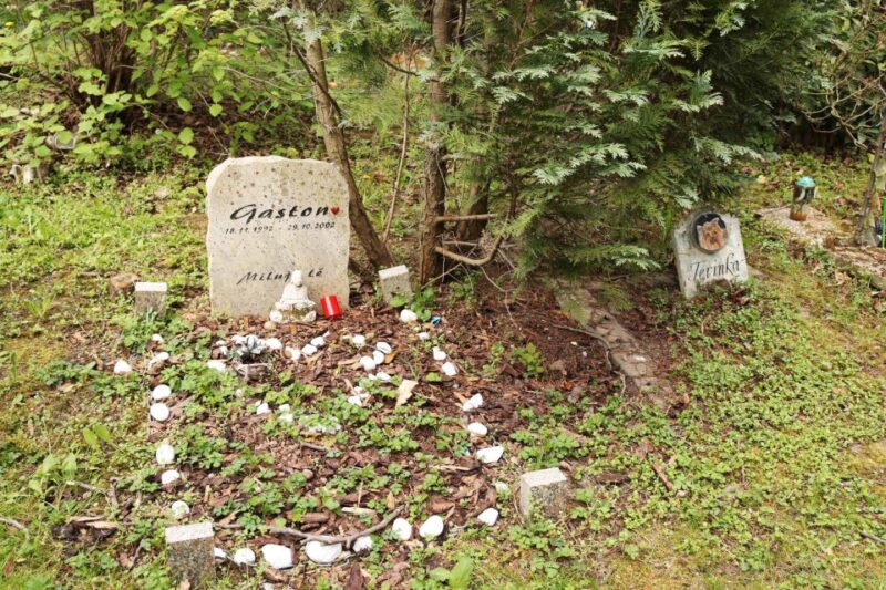 Prague: Psychiatric Hospital and Abandoned Cemetery Tour - Practical Details and Logistics