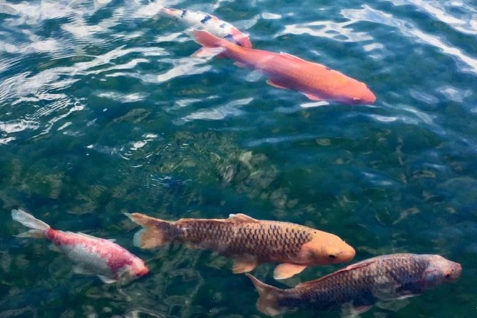 Prague Renaissance & Baroque Gardens Walking Tour - The Guide’s Storytelling Approach