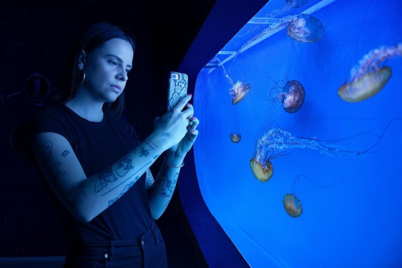 Prague: The World Of Jellyfish Entry Ticket w/ Drink - Review Insights: Short Duration and Limited Live Jellyfish