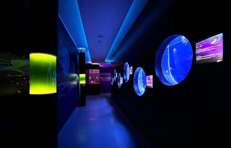 Prague: The World Of Jellyfish Entry Ticket w/ Drink - Who Should Consider Visiting the World of Jellyfish