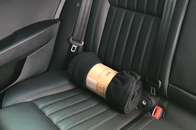 Prague to Karlovy Vary Private Transfer - Reliability and Customer Service