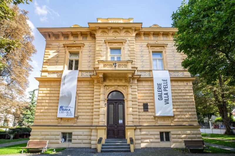 Prague: Villa Pellé Gallery Entry Ticket - Discovering Villa Pellé’s Artistic Focus