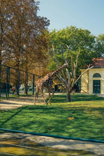 Prague: Zoo Entrance Ticket With Audio Guide & Transfer - Discover the Highlights of Prague Zoo’s Themed Areas