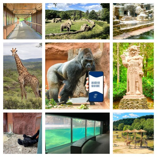 Prague Zoo Online Audio Guide (No ticket) - Discover the Prague Zoo Online Audio Guide: A Self-Guided Tour Option
