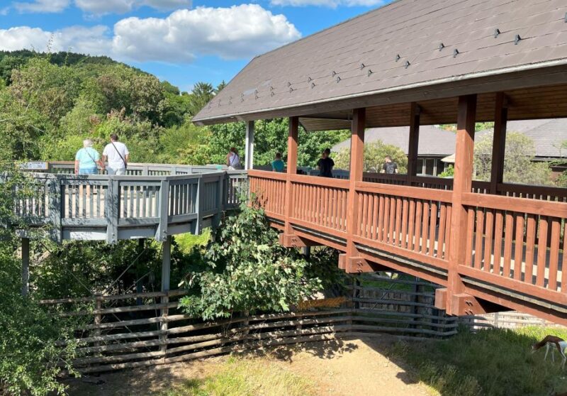 Prague Zoo Online Audio Guide (No ticket) - Using the Interactive and Picture Maps During Your Visit